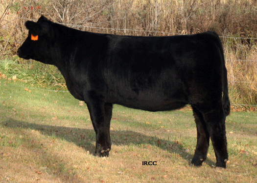 TOPS 927W